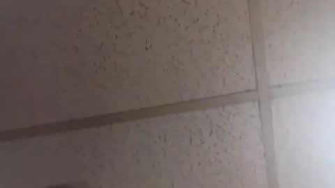 Dominick Subversal online show from 02/20/26, 02:06