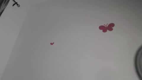 Iris online show from 11/04/25, 09:25