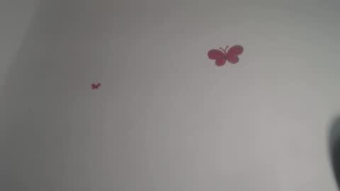 Iris online show from 11/30/25, 07:40