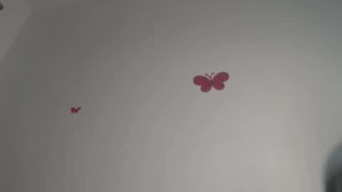 Iris online show from 12/04/25, 08:28