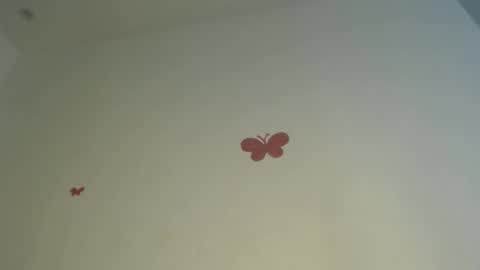 Iris online show from 04/03/26, 07:34