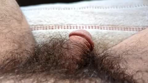 Snapshot of hornyallthetime6969696969 chatting on 10/04/25, 01:31 Tiny cock online show from 10/04/25, 01:31