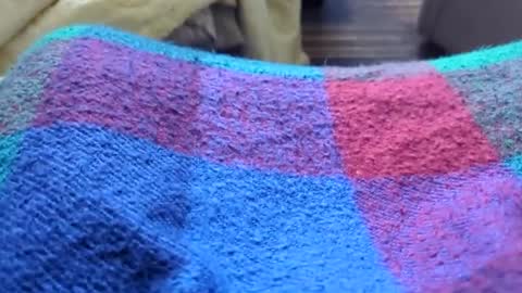 Tiny cock online show from 01/11/26, 10:26