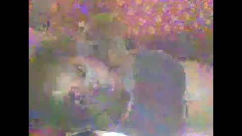 hornygal001 online show from 04/08/26, 05:07