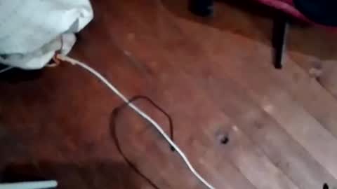 Snapshot of hornypaul84 chatting on 11/05/25, 07:47 hornypaul84 online show from 11/05/25, 07:47