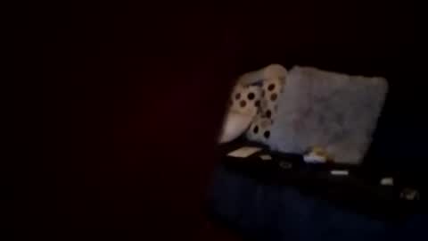 Snapshot of hornypaul84 chatting on 01/07/26, 01:19 hornypaul84 online show from 01/07/26, 01:19