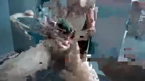 Snapshot of hornyrippa chatting on 12/22/24, 01:23 Hornyrippa online show from 12/22/24, 01:23