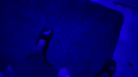 Snapshot of hornystroker21 chatting on 10/19/25, 02:01 hornystroker21 online show from 10/19/25, 02:01