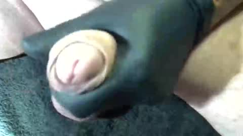 Snapshot of horse_dick9 chatting on 09/11/25, 11:43 horse_dick9 online show from 09/11/25, 11:43