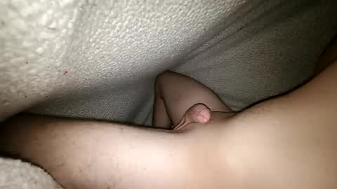 Snapshot of horsecock9748 chatting on 12/28/24, 06:40 horsecock9748 online show from 12/28/24, 06:40