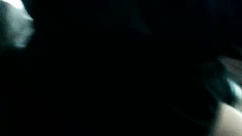 horsesaslife online show from 03/16/26, 08:24