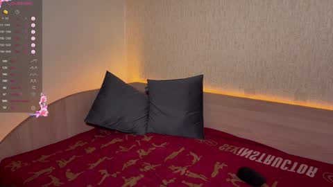 Snapshot of horzy_forz chatting on 12/22/24, 11:09 Horzy online show from 12/22/24, 11:09