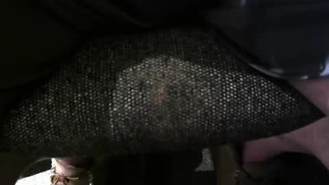 hot4lunch57 online show from 09/27/25, 08:25