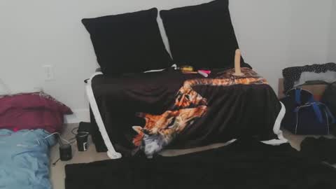 Snapshot of hot_bambi_and_hung_beast chatting on 12/17/24, 07:48 hot_bambi_and_hung_beast online show from 12/17/24, 07:48