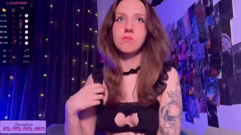 Snapshot of hotarutomo chatting on 11/30/25, 09:52 Next stream 28112024 8 GMT 3 online show from 11/30/25, 09:52