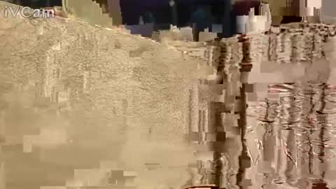 Hotcapolx online show from 11/17/25, 10:32