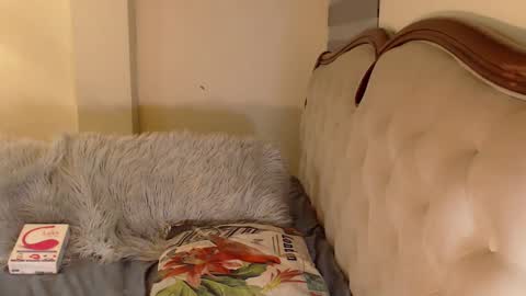 Miss ELY online show from 10/29/25, 04:59