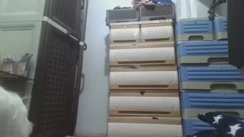 hotlavender online show from 12/17/25, 02:28