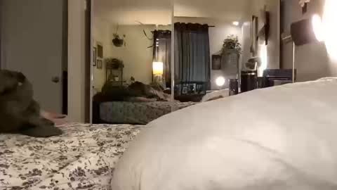 Annabelle online show from 10/14/25, 12:00