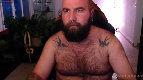 Hotokkar online show from 03/23/26, 06:23