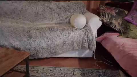 Snapshot of hotpeppersx chatting on 10/31/25, 08:21 Betty boob online show from 10/31/25, 08:21