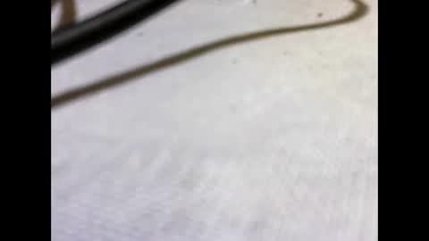 HottestPiny29 online show from 05/26/26, 04:03