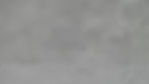 Slutty little female cat online show from 01/31/25, 05:51