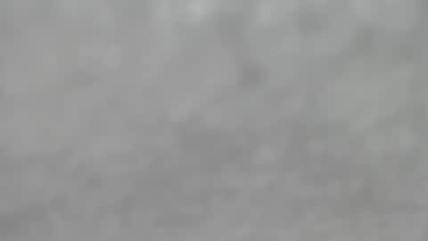 Slutty little female cat online show from 10/12/25, 04:33