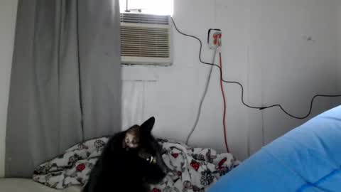 houseflipper online show from 08/01/26, 12:59