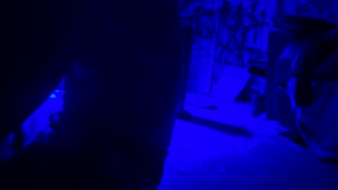 ask me online show from 04/21/26, 01:42