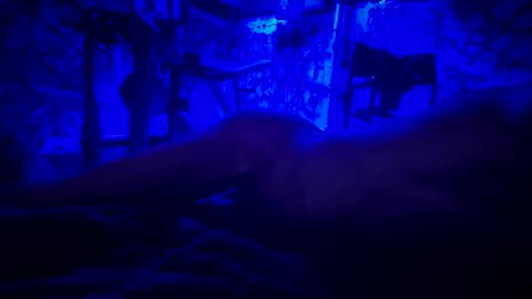 ask me online show from 06/11/26, 03:04