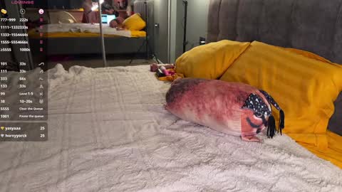 Snapshot of howtoreachorgasm chatting on 12/23/24, 04:33 Elizabeth online show from 12/23/24, 04:33