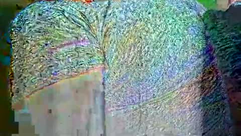 hp58649blabla online show from 09/25/25, 09:02