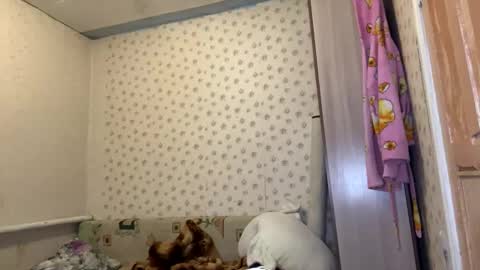 Snapshot of hsiuscherich chatting on 01/12/26, 12:10 hsiuscherich online show from 01/12/26, 12:10