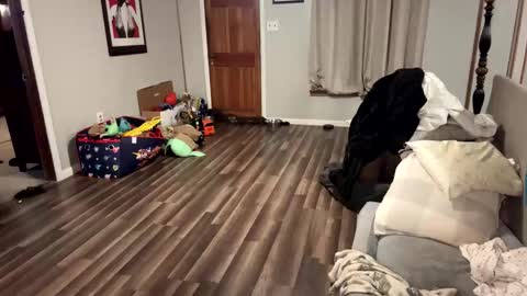 htwnswangn9 online show from 03/31/26, 03:30