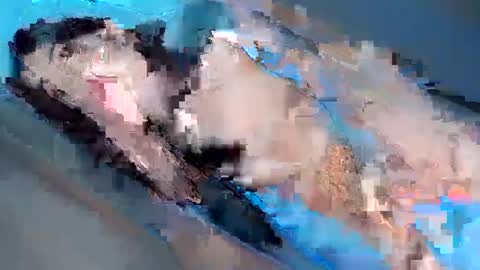 Snapshot of hugecockyanny chatting on 02/03/25, 01:08 Yhanie online show from 02/03/25, 01:08