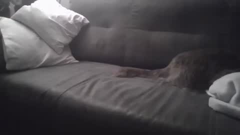 Snapshot of huguit026 chatting on 02/04/25, 11:27 huguit026 online show from 02/04/25, 11:27