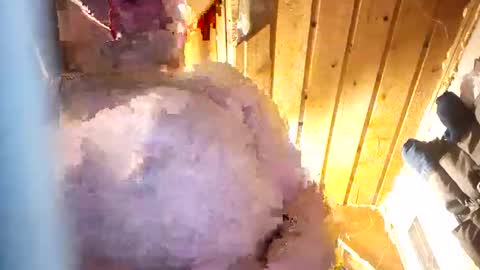 hung34u online show from 01/08/26, 06:16