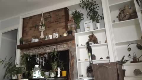 hungitalian40 online show from 11/13/25, 10:14