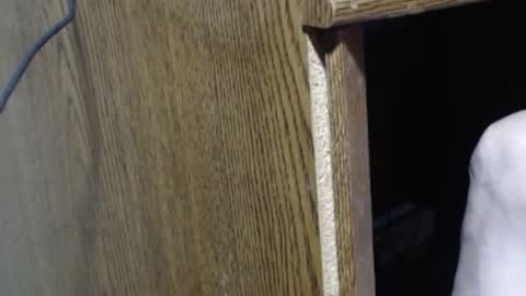 hungsofine online show from 12/29/24, 06:16