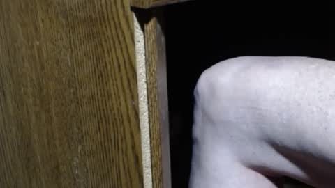 hungsofine online show from 01/12/25, 08:57