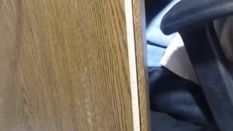 hungsofine online show from 01/13/25, 10:03