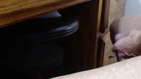 hungsofine online show from 01/11/26, 07:30