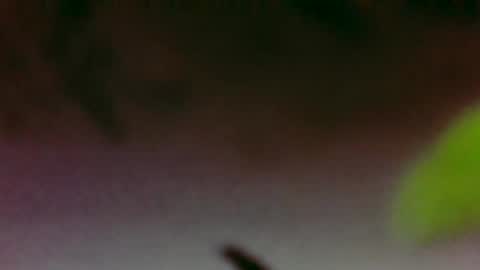 Snapshot of hungsubbb chatting on 11/26/25, 03:40 Boi online show from 11/26/25, 03:40