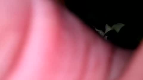 hunk1987_ online show from 04/27/26, 04:32