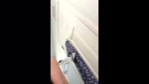 Snapshot of huskey300 chatting on 01/09/26, 04:32 huskey300 online show from 01/09/26, 04:32