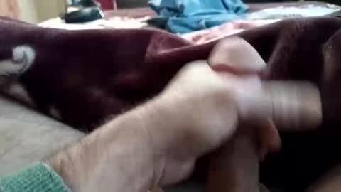 husky1511 online show from 11/11/25, 09:20