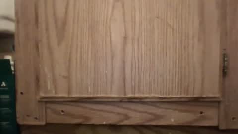 Snapshot of hybrid_lover419 chatting on 02/13/26, 05:36 Hybrid Lover419 online show from 02/13/26, 05:36