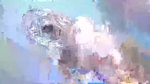 Snapshot of i_love_eula chatting on 02/15/25, 02:22 cant get you out of my head online show from 02/15/25, 02:22