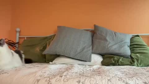 Olive online show from 10/24/25, 11:12